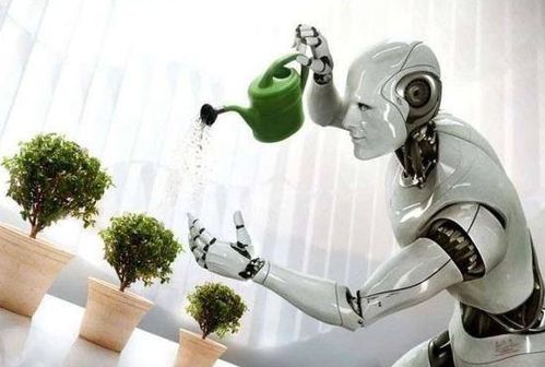 讓家庭機器人成標配 我們還需跨越哪些山丘？