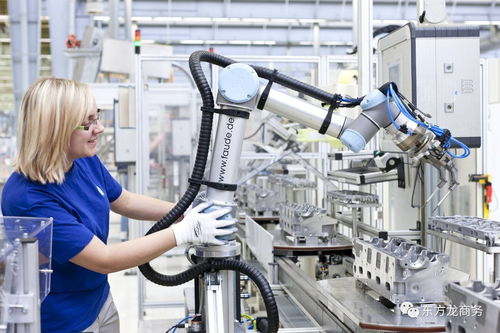 智能機器人產業新篇章 東方龍商務即將舉辦工業制造產學研綜合項目政府對接會